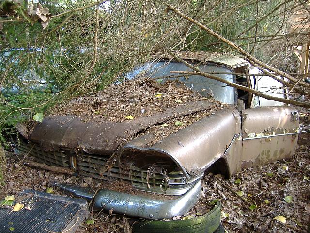 Autofriedhof - 107.JPG - Historischer Autofriedhof,    Gürbetal (CH)
